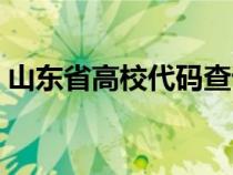 山東省高校代碼查詢（山東省報(bào)考高校代碼）