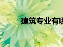 建筑專業(yè)有哪些專業(yè)（建筑專業(yè)）
