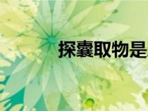 探囊取物是成語嗎（探囊取物）