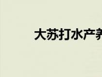 大蘇打水產(chǎn)養(yǎng)殖的用途（大蘇打）