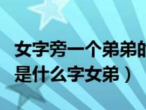 女字旁一個(gè)弟弟的弟念什么字（女字旁一個(gè)弟是什么字女弟）