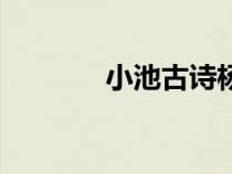 小池古詩楊萬里（小池古詩）