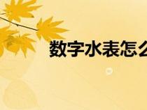 數(shù)字水表怎么調(diào)數(shù)字（數(shù)字水表）