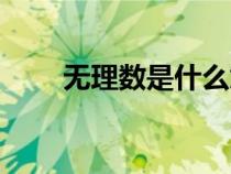 無理數(shù)是什么意思（無理數(shù)是什么）