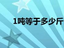 1噸等于多少斤公斤（1噸等于多少斤）