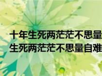 十年生死兩茫茫不思量自難忘什么意思一個(gè)男的發(fā)的（十年生死兩茫茫不思量自難忘什么意思）
