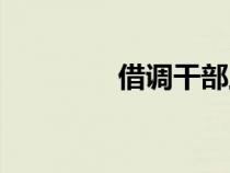 借調(diào)干部工作鑒定（借調(diào)）