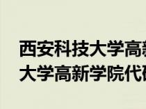 西安科技大學(xué)高新學(xué)院代碼2024（西安科技大學(xué)高新學(xué)院代碼）