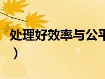 處理好效率與公平的關(guān)系（效率與公平的關(guān)系）