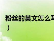 粉絲的英文怎么寫(xiě)怎么讀（粉絲的英文怎么寫(xiě)）