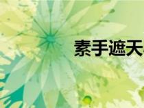 素手遮天小說(shuō)（素手遮天）