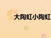 大陶虹小陶虹圖片（大陶虹小陶虹）