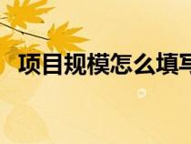 項(xiàng)目規(guī)模怎么填寫示范（項(xiàng)目規(guī)模怎么填）