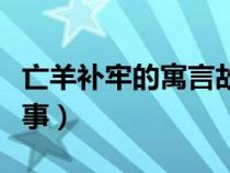 亡羊補(bǔ)牢的寓言故事簡寫（亡羊補(bǔ)牢的寓言故事）