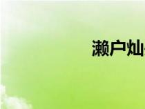 瀨戶(hù)燦頭像（瀨戶(hù)燦）