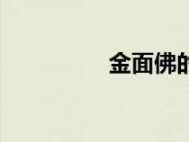 金面佛的小說（金面佛）