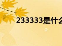 233333是什么時候的梗（233333）