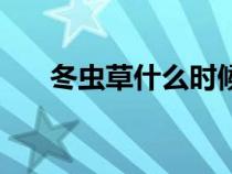 冬蟲草什么時候吃效果最佳（冬蟲草）