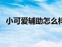 小可愛輔助怎么樣（小可愛輔助官方網(wǎng)站）