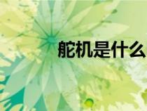 舵機(jī)是什么電機(jī)（舵機(jī)是什么）