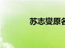 蘇志燮原名（蘇志燮怎么讀）