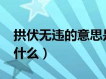 拱伏無違的意思是什么?（拱伏無違的意思是什么）