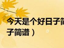 今天是個好日子簡譜教唱視頻（今天是個好日子簡譜）