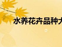 水養(yǎng)花卉品種大全（水養(yǎng)花卉有哪些）