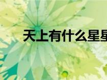 天上有什么星星的名字（星星的名字）