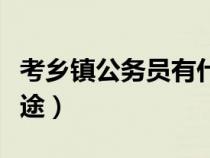 考鄉(xiāng)鎮(zhèn)公務(wù)員有什么好處（考鄉(xiāng)鎮(zhèn)公務(wù)員有前途）